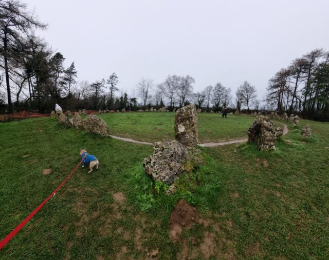 A squat neolithic stone circle with many stones (some might say an uncountable number). A dog pulls at her lead to follow one of her humans more-closely around it.
